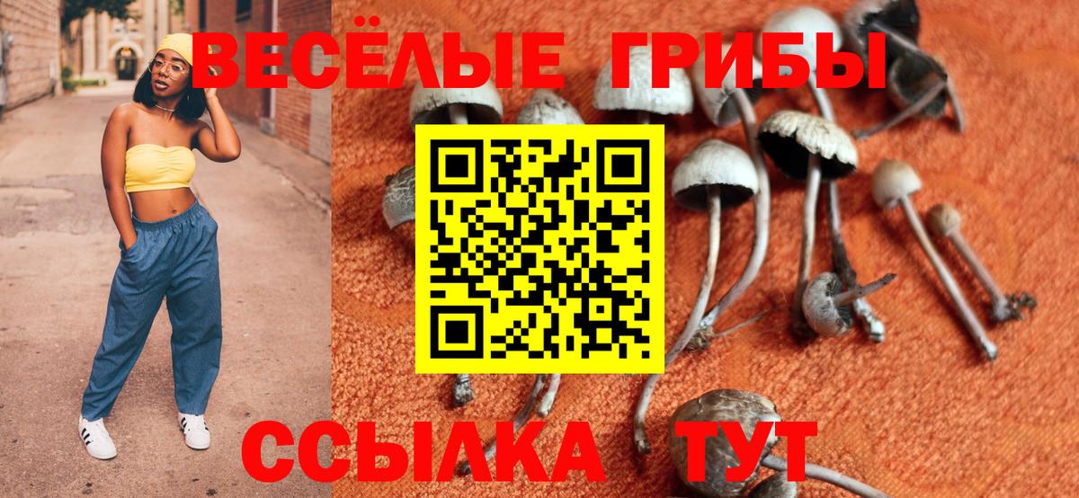 наркотики  Вход с VPN  Ирбит  Галлюциногенные грибы мицелий 