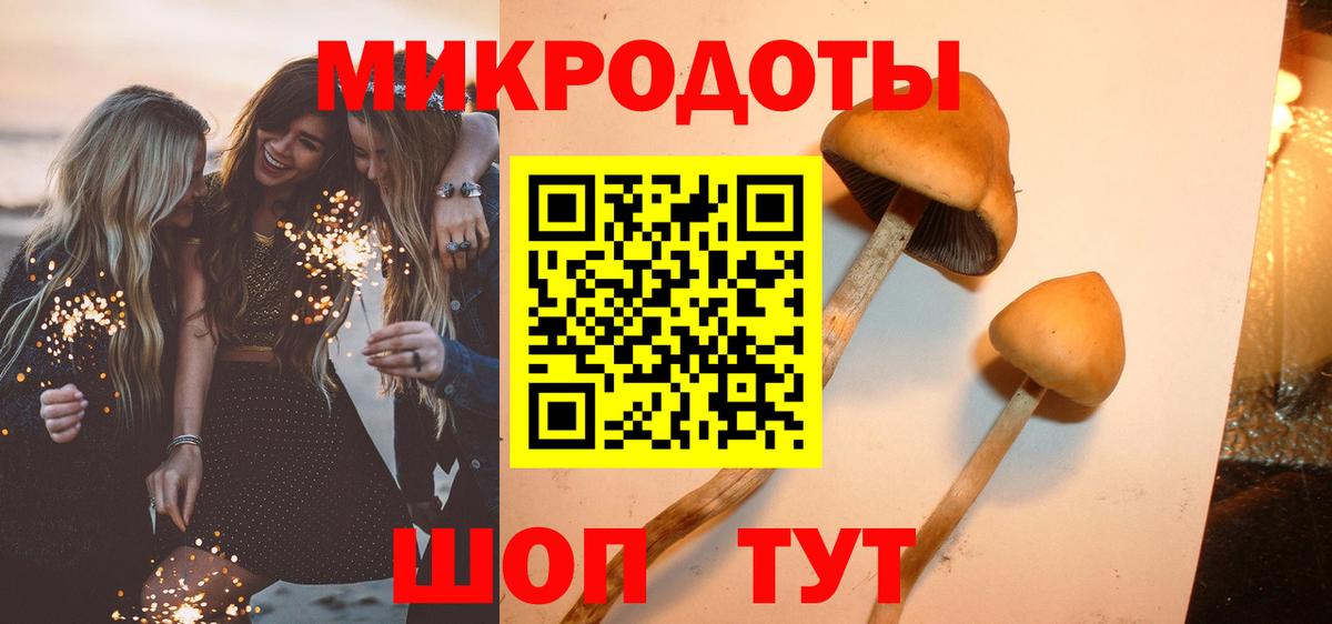 Галлюциногенные грибы прущие грибы Ирбит